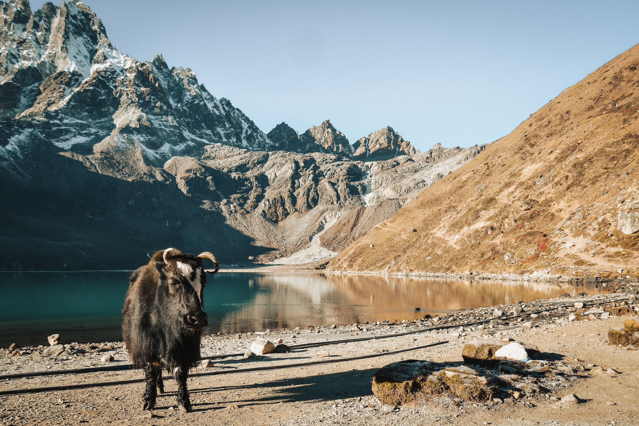 GOKYO-RI EVEREST PANORAMA TREKKING